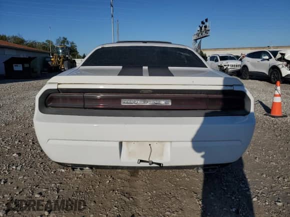 2012 Dodge Challenger R/T Plus with VIN 2C3CDYBT0CH186473, listed as a Copart auction lot 81564155 with Not provided miles and Salvage title. Bid and sale history available at DreamBid. Image 6.