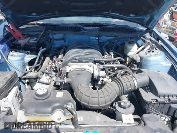 2005 Ford Mustang GT Deluxe z VIN 1ZVFT82H555223046, wystawiony jako IAAI lot #43130653 z przebiegiem 39 319 mil mil oraz . Historia ofert i sprzedaży dostępna na DreamBid. Obrazek 10.