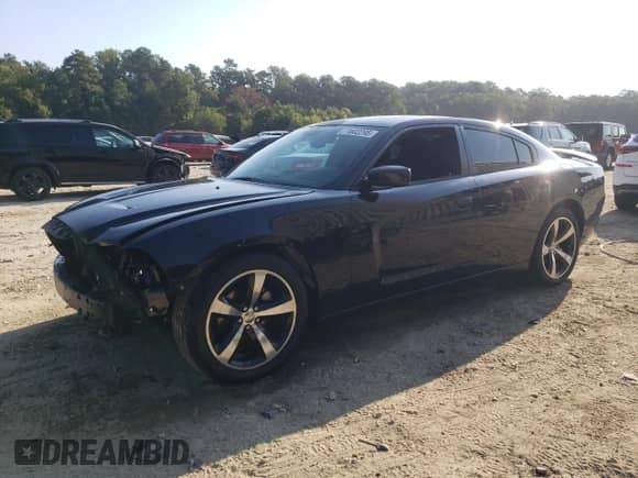 2014 Dodge Charger SXT with VIN 2C3CDXHGXEH369015, listed as a Copart auction lot 71602295 with 201,182 mi miles and Salvage title. Bid and sale history available at DreamBid. Image 1.