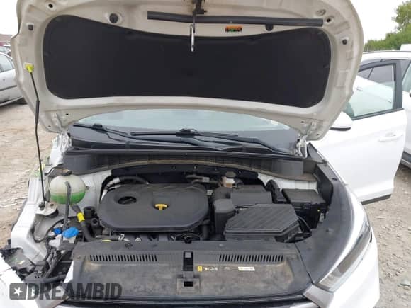 2018 Hyundai Tucson SE с VIN KM8J2CA40JU804080, выставлен на аукционе IAAI как лот 43203046 с пробегом 82 670 миль миль и . История ставок и продаж доступна на DreamBid. Изображение 10.