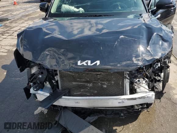 2024 Kia Sorento LX with VIN 5XYRG4JC3RG288588, listed as a Copart auction lot 59225105 with 41,944 mi miles and Salvage title. Bid and sale history available at DreamBid. Image 12.