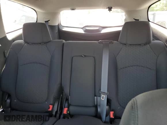 2009 Chevrolet Traverse 2LT with VIN 1GNER23D29S171217, listed as a Copart auction lot 86683965 with 133,340 mi miles and Salvage title. Bid and sale history available at DreamBid. Image 10.