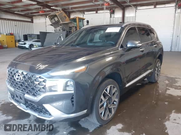 2023 Hyundai Santa Fe Calligraphy с VIN 5NMS5DAL4PH592300, выставлен на аукционе IAAI как лот 42200918 с пробегом 42 541 миль миль и . История ставок и продаж доступна на DreamBid. Изображение 2.
