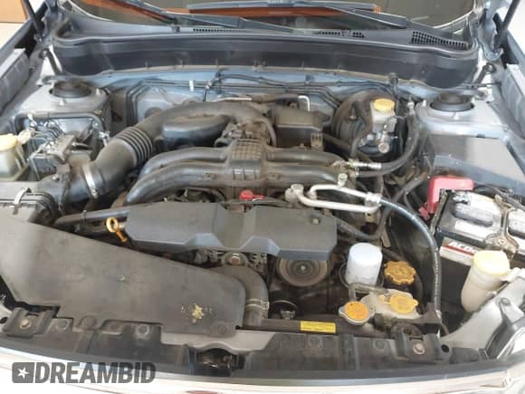 2011 Subaru Forester X Premium with VIN JF2SHADC6BH753372, listed as a IAAI auction lot 42563684 with 168,246 mi miles and . Bid and sale history available at DreamBid. Image 10.