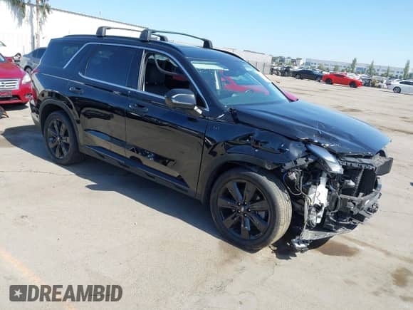 2025 Hyundai Palisade XRT with VIN KM8R3DGE3SU817493, listed as a IAAI auction lot 42520229 with 27,046 mi miles and . Bid and sale history available at DreamBid. Image 1.