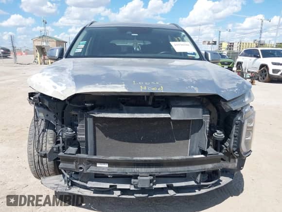 2020 Hyundai Palisade SEL с VIN KM8R44HE3LU029729, выставлен на аукционе IAAI как лот 42936580 с пробегом 60 634 миль миль и . История ставок и продаж доступна на DreamBid. Изображение 13.