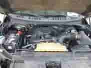 2017 Ford F-150 XL z VIN 1FTEW1CPXHFA21255, wystawiony jako IAAI lot #42701833 z przebiegiem Nie podano mil oraz . Historia ofert i sprzedaży dostępna na DreamBid. Obrazek 10.