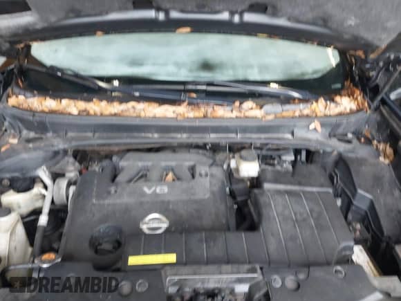 2009 Nissan Murano S с VIN JN8AZ18WX9W152312, выставлен на аукционе IAAI как лот 43306984 с пробегом 120 241 миль миль и . История ставок и продаж доступна на DreamBid. Изображение 10.