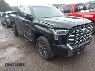 2024 Toyota Tundra Platinum with VIN 5TFNA5DB9RX182166, listed as a IAAI auction lot 42473773 with 19,364 mi miles and . Bid and sale history available at DreamBid. Image 1.