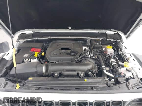 2025 Jeep Wrangler Rubicon с VIN 1C4PJXFN4SW538708, выставлен на аукционе IAAI как лот 42892912 с пробегом 12 175 миль миль и . История ставок и продаж доступна на DreamBid. Изображение 10.