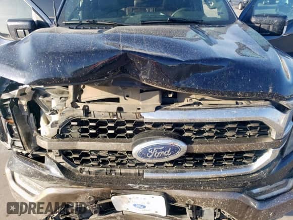 2023 Ford F-150 XL with VIN 1FTFW1E8XPFD18602, listed as a Copart auction lot 66561965 with 53,189 mi miles and Salvage title. Bid and sale history available at DreamBid. Image 11.