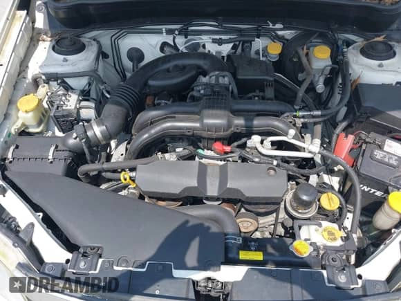 2011 Subaru Forester X Premium with VIN JF2SHADC8BG702459, listed as a IAAI auction lot 42683799 with 189,175 mi miles and . Bid and sale history available at DreamBid. Image 10.