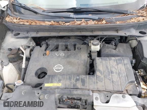 2009 Nissan Murano S z VIN JN8AZ18U49W105596, wystawiony jako IAAI lot #43480498 z przebiegiem 195 165 mil mil oraz . Historia ofert i sprzedaży dostępna na DreamBid. Obrazek 10.