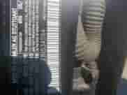 2018 Mercedes-Benz CLA 45 AMG с VIN WDDSJ5CB2JN534594, выставлен на аукционе Copart как лот 81325424 с пробегом 81 054 миль миль и Списание • Salvage title. История ставок и продаж доступна на DreamBid. Изображение 12.