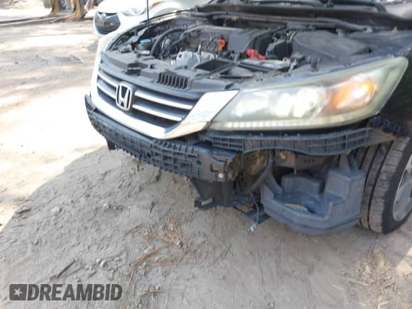 2014 Honda Accord with VIN IHGCR2F51EA203127, listed as a IAAI auction lot 42576997 with 186,302 mi miles and . Bid and sale history available at DreamBid. Image 6.