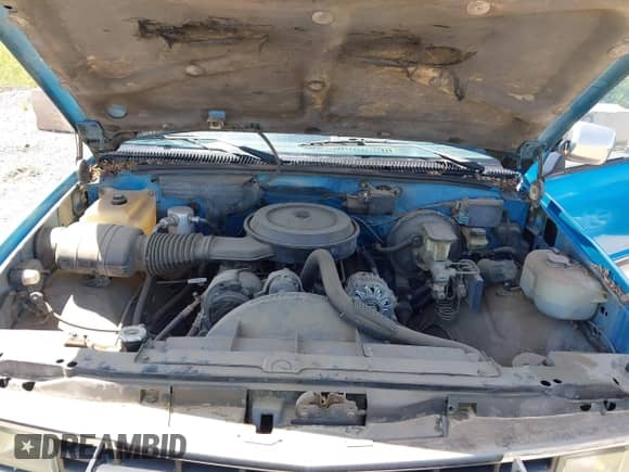 1991 Chevrolet Silverado 1500 с VIN 1GCDK14K4MZ224371, выставлен на аукционе IAAI как лот 42228987 с пробегом 131 598 миль миль и . История ставок и продаж доступна на DreamBid. Изображение 10.