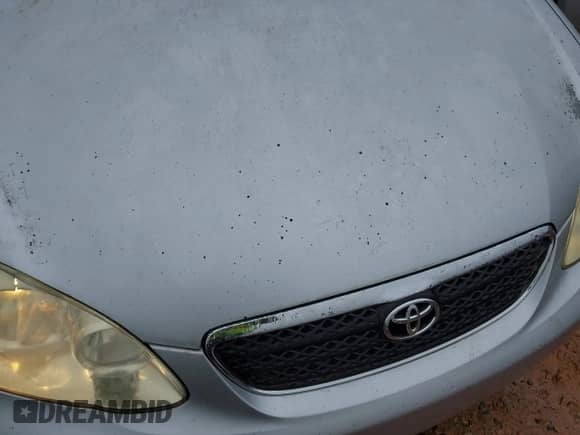 2005 Toyota Corolla LE с VIN 1NXBR32E65Z535435, выставлен на аукционе IAAI как лот 43543268 с пробегом 259 499 миль миль и . История ставок и продаж доступна на DreamBid. Изображение 6.