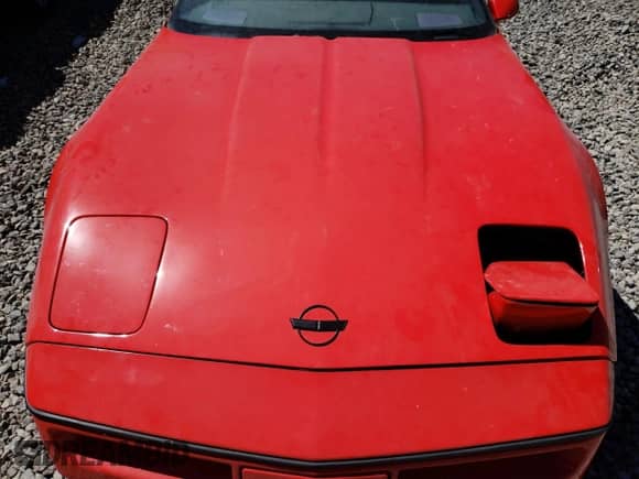 1989 Chevrolet Corvette with VIN 1G1YY2188K5103872, listed as a Copart auction lot 67389544 with Not provided miles and Clean title. Bid and sale history available at DreamBid. Image 11.