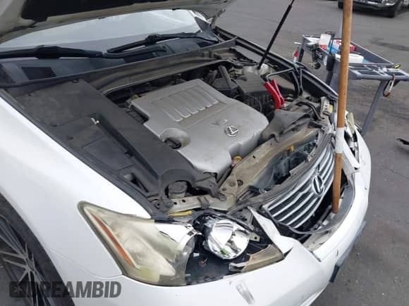 2007 Lexus ES 330 with VIN JTHBJ46GX72137221, listed as a IAAI auction lot 43302668 with 208,160 mi miles and . Bid and sale history available at DreamBid. Image 13.