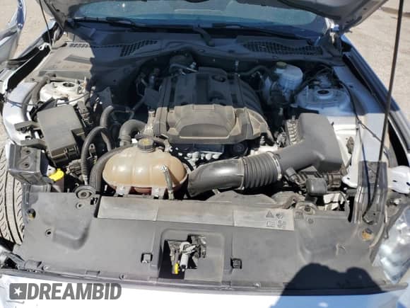 2019 Ford Mustang EcoBoost z VIN 1FA6P8TH2K5148281, wystawiony jako Copart lot #80668975 z przebiegiem 55 842 mil mil oraz Szkoda całkowita • Salvage title. Historia ofert i sprzedaży dostępna na DreamBid. Obrazek 11.