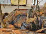 2004 Jeep Wrangler Sahara с VIN 1J4FA59S74P718631, выставлен на аукционе Copart как лот 62816605 с пробегом Не указан миль и На запчасти • Non repairable. История ставок и продаж доступна на DreamBid. Изображение 10.