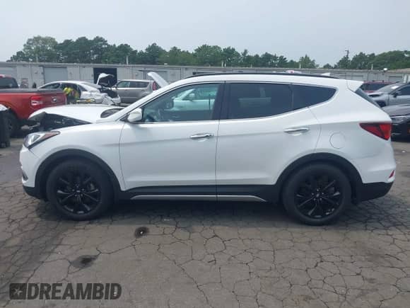 2017 Hyundai Santa Fe Ultimate с VIN 5XYZW4LA4HG446482, выставлен на аукционе IAAI как лот 42933121 с пробегом 92 805 миль миль и . История ставок и продаж доступна на DreamBid. Изображение 15.