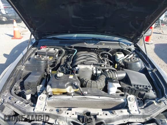 2005 Ford Mustang GT Deluxe с VIN 1ZVFT82H955147685, выставлен на аукционе IAAI как лот 43374177 с пробегом 51 862 миль миль и . История ставок и продаж доступна на DreamBid. Изображение 10.