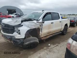 2024 Chevrolet Silverado 1500 LT Trail Boss с VIN 3GCUDFED4RG341009, выставлен на аукционе Copart как лот 70690805 с пробегом 43 151 миль миль и Списание • Salvage title. История ставок и продаж доступна на DreamBid. Изображение 1.