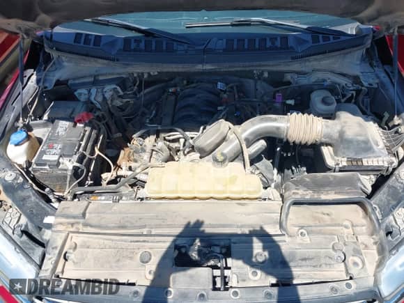 2019 Ford F-150 XL with VIN 1FTEW1E55KKF02539, listed as a IAAI auction lot 43193008 with 80,549 mi miles and . Bid and sale history available at DreamBid. Image 10.