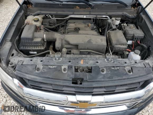 2019 Chevrolet Colorado 2WD LT z VIN 1GCGSCEA4K1309477, wystawiony jako Copart lot #50463555 z przebiegiem 98 708 mil mil oraz Czysty tytuł • Clean title. Historia ofert i sprzedaży dostępna na DreamBid. Obrazek 11.