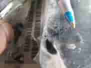 2013 Dodge Journey SXT с VIN 3C4PDCCG1DT698978, выставлен на аукционе Copart как лот 63789385 с пробегом Не указан миль и На запчасти • Non repairable. История ставок и продаж доступна на DreamBid. Изображение 12.