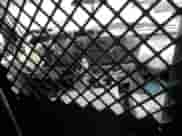 2010 Ford Econoline Cargo Commercial with VIN 1FTNE2EL8ADA54016, listed as a Copart auction lot 81127704 with 190,219 mi miles and Salvage title. Bid and sale history available at DreamBid. Image 8.