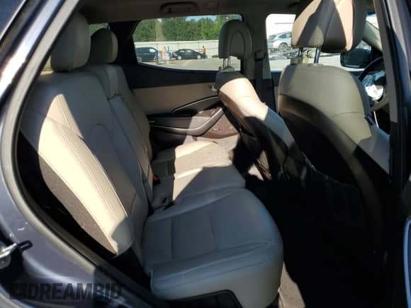 2017 Hyundai Santa Fe Ultimate with VIN 5XYZW4LA9HG461107, listed as a Copart auction lot 80212445 with Not provided miles and Salvage title. Bid and sale history available at DreamBid. Image 11.