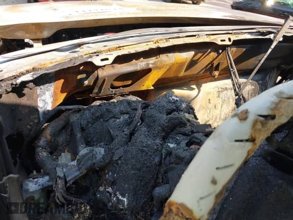 1996 Ford F-150 с VIN 1FTEF14N1TLA06585, выставлен на аукционе IAAI как лот 42393211 с пробегом Не указан миль и . История ставок и продаж доступна на DreamBid. Изображение 7.