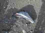 2021 Hyundai Elantra SEL с VIN 5NPLS4AG4MH004703, выставлен на аукционе Copart как лот 80936645 с пробегом 27 066 миль миль и Списание • Salvage title. История ставок и продаж доступна на DreamBid. Изображение 12.