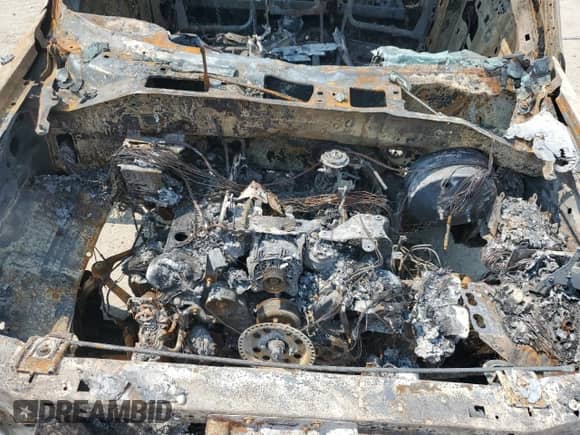 1999 Ford F-150 with VIN 1FTRX18W8XKA37815, listed as a Copart auction lot 66904165 with Not provided miles and Non repairable. Bid and sale history available at DreamBid. Image 11.