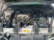 1998 Chevrolet Lumina LS with VIN 2G1WL52M8W9113930, listed as a IAAI auction lot 41886934 with 209,293 mi miles and . Bid and sale history available at DreamBid. Image 10.