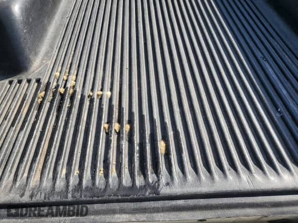 1998 Dodge 1500 z VIN 1B7HF16ZXWS570291, wystawiony jako Copart lot #48802535 z przebiegiem 171 123 mil mil oraz Czysty tytuł • Clean title. Historia ofert i sprzedaży dostępna na DreamBid. Obrazek 10.