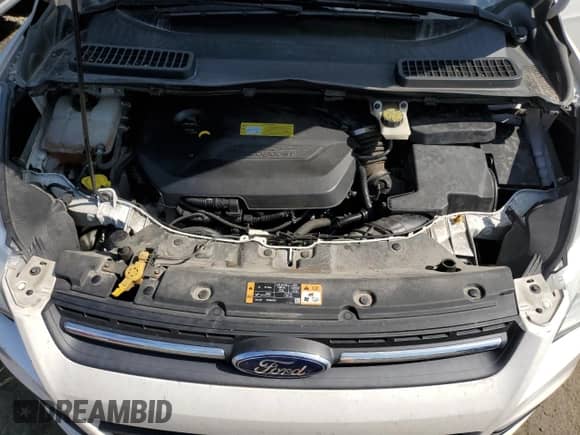 2014 Ford Escape SE с VIN 1FMCU0GX1EUB78726, выставлен на аукционе Copart как лот 81021325 с пробегом 161 108 миль миль и Списание • Salvage title. История ставок и продаж доступна на DreamBid. Изображение 12.