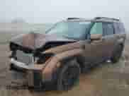 2024 Hyundai Santa Fe Calligraphy с VIN 5NMP5DGLXRH019627, выставлен на аукционе Copart как лот 84737354 с пробегом 3 873 миль миль и Списание • Salvage title. История ставок и продаж доступна на DreamBid. Изображение 1.