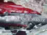 2020 Chevrolet Equinox Premier с VIN 2GNAXYEX0L6203378, выставлен на аукционе IAAI как лот 43035151 с пробегом Не указан миль и . История ставок и продаж доступна на DreamBid. Изображение 9.