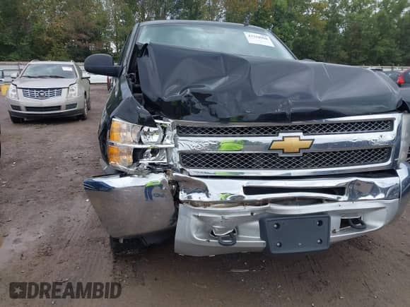 2013 Chevrolet Silverado 1500 LT with VIN 3GCPKSE79DG178016, listed as a IAAI auction lot 43310998 with 219,102 mi miles and . Bid and sale history available at DreamBid. Image 6.