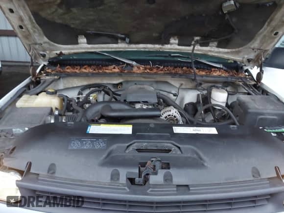 1999 Chevrolet Silverado 2500 с VIN 1GCFC24TXXE211950, выставлен на аукционе IAAI как лот 43187898 с пробегом 147 669 миль миль и . История ставок и продаж доступна на DreamBid. Изображение 10.