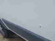 2018 Ram ProMaster Cargo с VIN 3C6URVJG4JE101381, выставлен на аукционе IAAI как лот 42734517 с пробегом 69 228 миль миль и . История ставок и продаж доступна на DreamBid. Изображение 18.