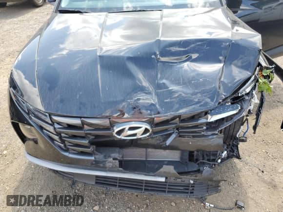 2023 Hyundai Tucson SEL with VIN 5NMJB3AEXPH283091, listed as a Copart auction lot 67636695 with 31,237 mi miles and Non repairable. Bid and sale history available at DreamBid. Image 12.