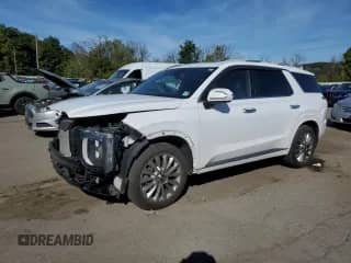 2020 Hyundai Palisade Limited с VIN KM8R5DHE3LU034944, выставлен на аукционе Copart как лот 84756365 с пробегом 86 632 миль миль и Списание • Salvage title. История ставок и продаж доступна на DreamBid. Изображение 1.