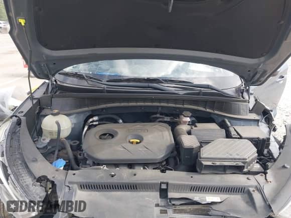 2017 Hyundai Tucson SE с VIN KM8J3CA42HU454376, выставлен на аукционе IAAI как лот 42826799 с пробегом 109 800 миль миль и . История ставок и продаж доступна на DreamBid. Изображение 10.