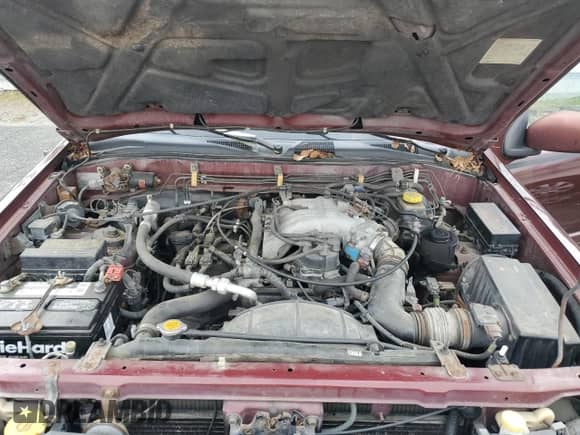 1998 Nissan Pathfinder XE with VIN JN8AR05Y6WW279859, listed as a Copart auction lot 50456455 with 195,242 mi miles and Clean title. Bid and sale history available at DreamBid. Image 12.