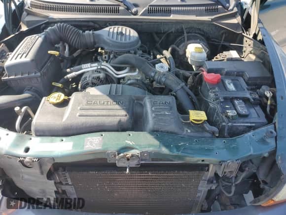 2002 Dodge Dakota with VIN 1B7FL16X12S557003, listed as a Copart auction lot 71607975 with 123,700 mi miles and Salvage title. Bid and sale history available at DreamBid. Image 11.
