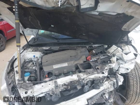 2017 Honda Accord Touring with VIN 1HGCR3F92HA010806, listed as a IAAI auction lot 43204203 with Not provided miles and . Bid and sale history available at DreamBid. Image 10.